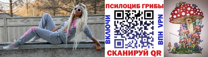 купить   Пыть-Ях  Галлюциногенные грибы Magic Shrooms 